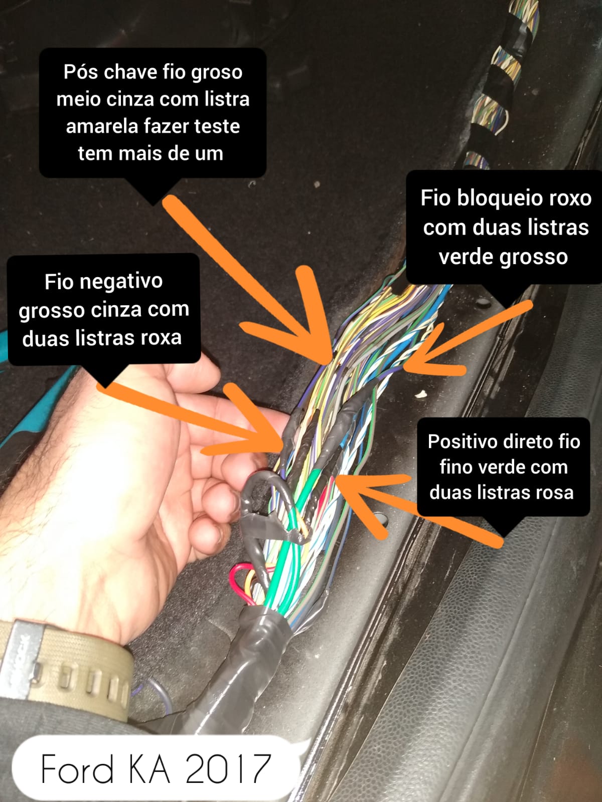 WhatsApp Image 2023-07-22 at 15.55.04.jpeg