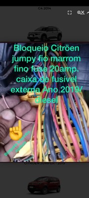WhatsApp Image 2024-02-21 at 16.17.13.jpeg