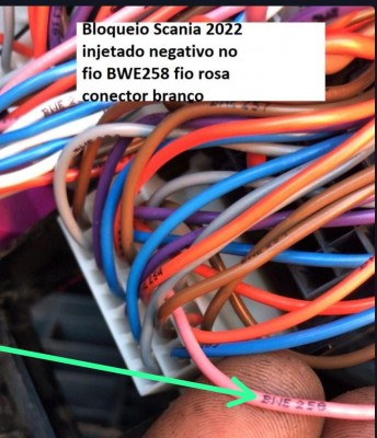 WhatsApp Image 2024-08-02 at 11.14.33.jpeg